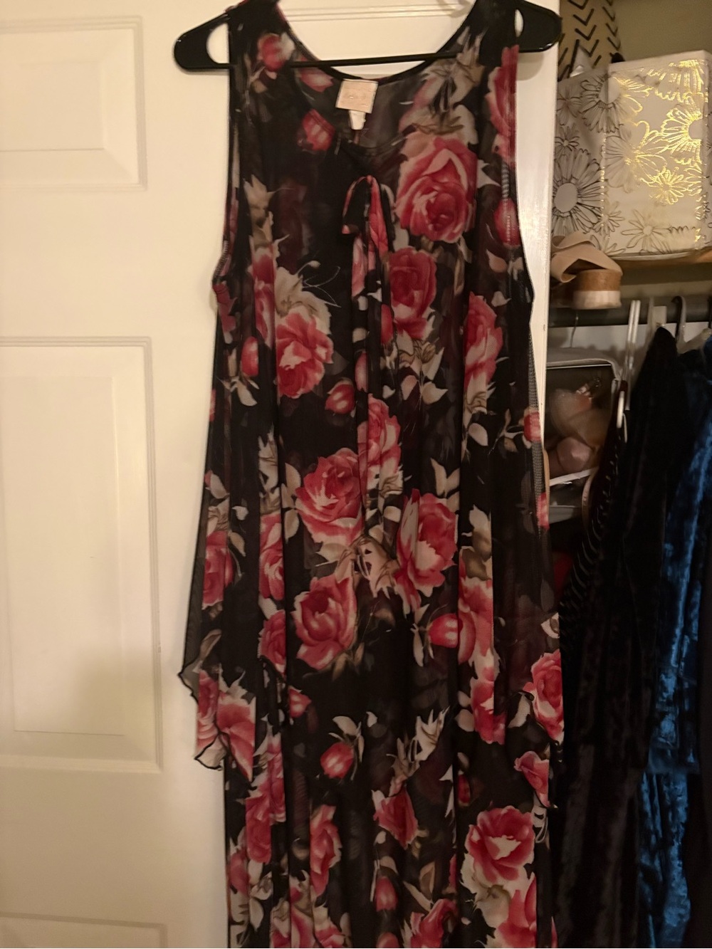 Zadie bs sheer top